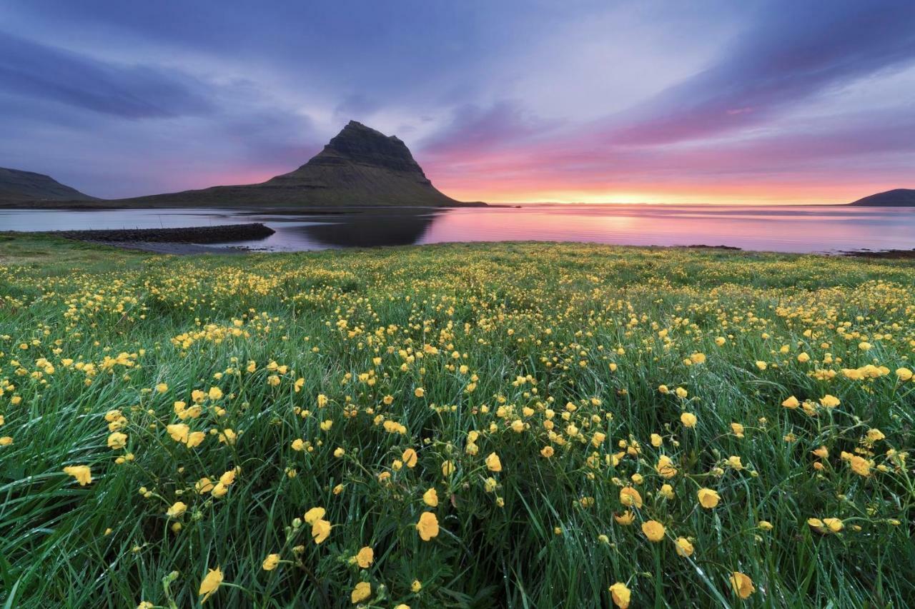 Experience Beautiful Iceland Olafsvik Exterior photo